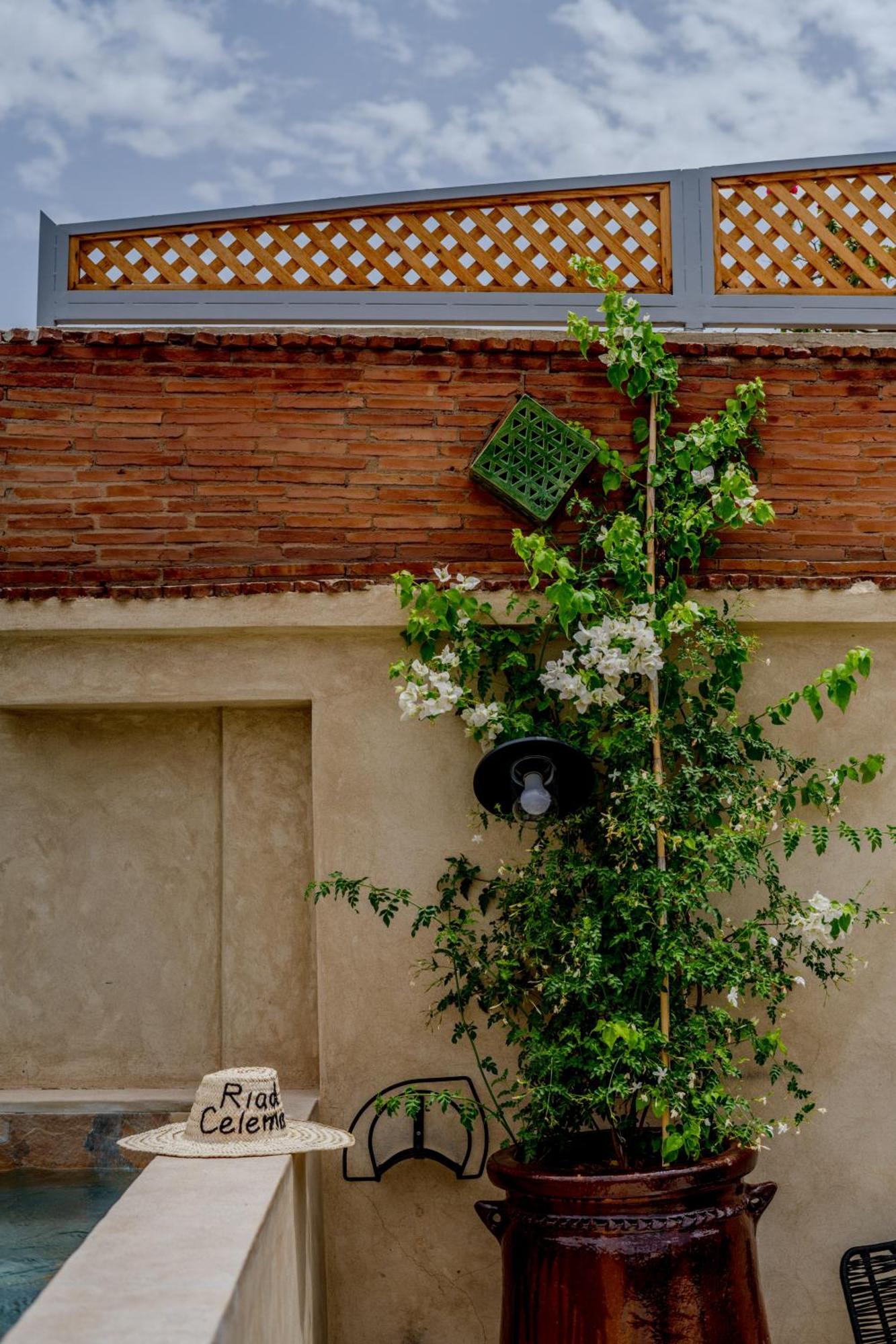 Riad Celema & Spa มาร์ราเกช ภายนอก รูปภาพ